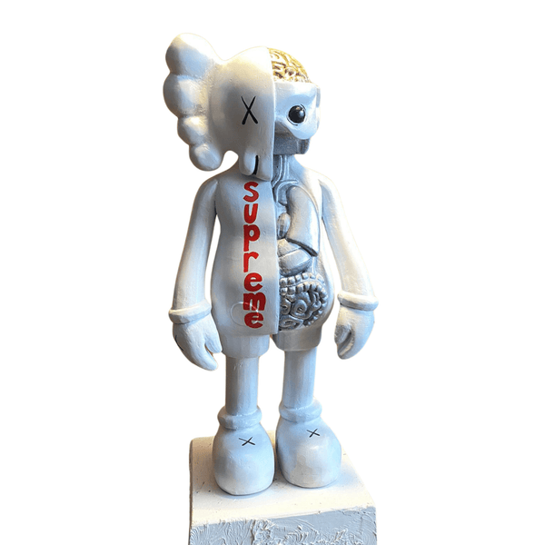 Supreme Organ Kaws - vinterro